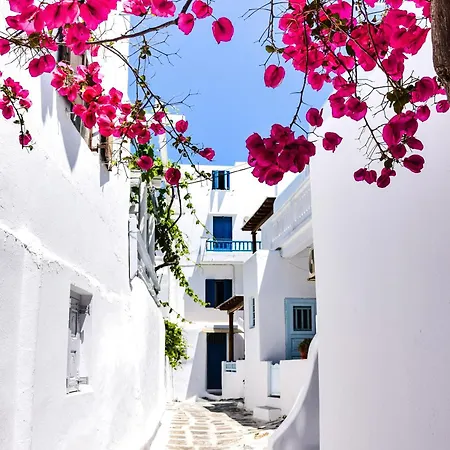 شقة فندقية Aniko White Alley *